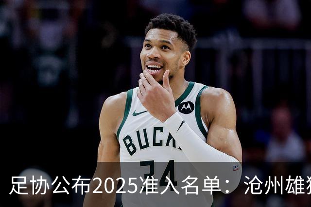 足协公布2025准入名单：沧州雄狮、广州队无缘