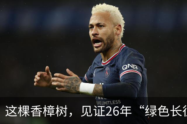 这棵香樟树，见证26年“绿色长征”